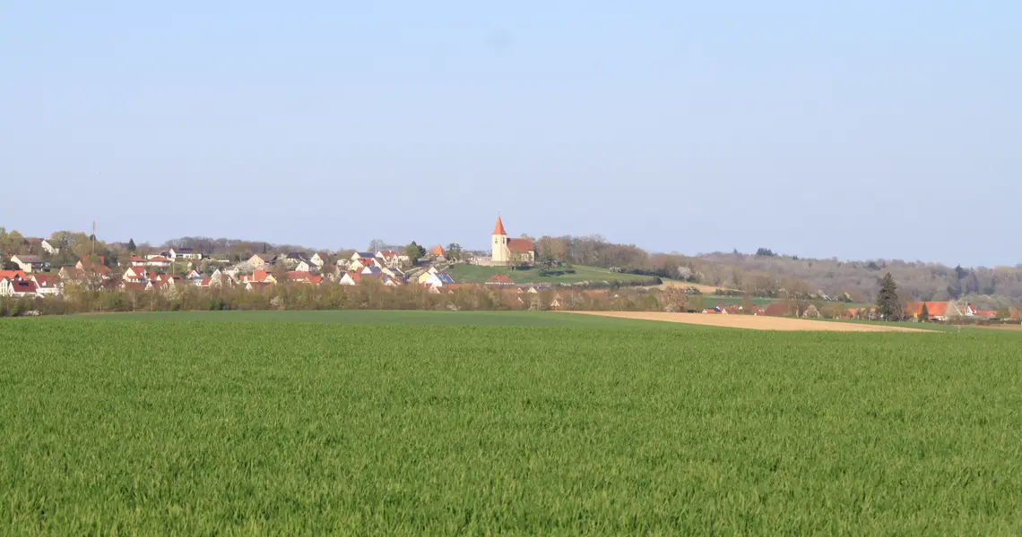 grünes Feld mit Ehinger Simultankirche im Hintergrund