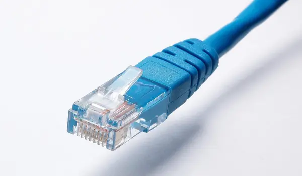 Hellblaues Netzwerkkabel und Stecker