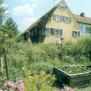 Üppig grüner Garten mit Hausansicht der Ferienwohnung Beck in Oettingen Lohe