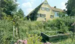 Üppig grüner Garten mit Hausansicht der Ferienwohnung Beck in Oettingen Lohe